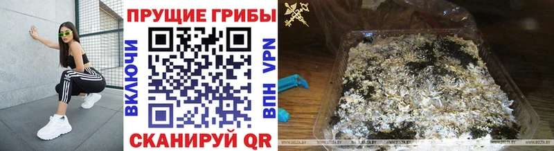 Галлюциногенные грибы Magic Shrooms Духовщина