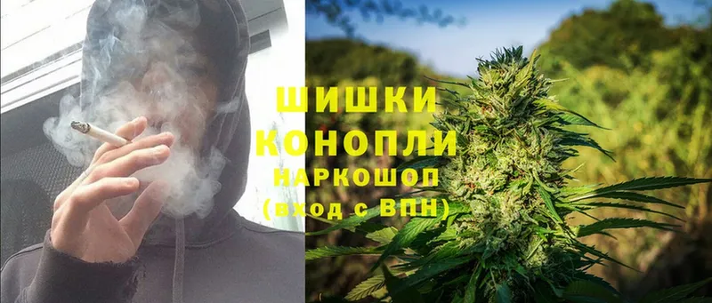 darknet наркотические препараты  Духовщина  Каннабис OG Kush  цены наркотик 