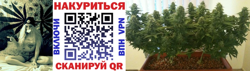 Бошки марихуана White Widow  где продают наркотики  Духовщина 